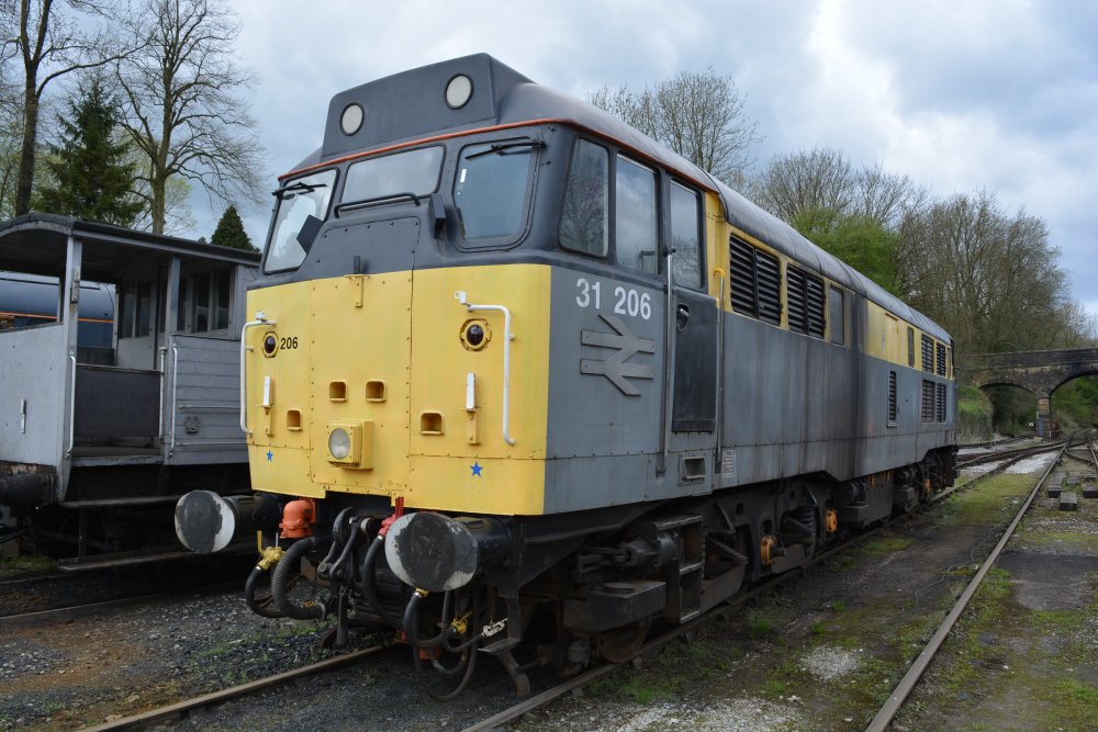Class 31 diesel locomotive 31206, Wirksworth station yard, Ecclesbourne Valley Railway