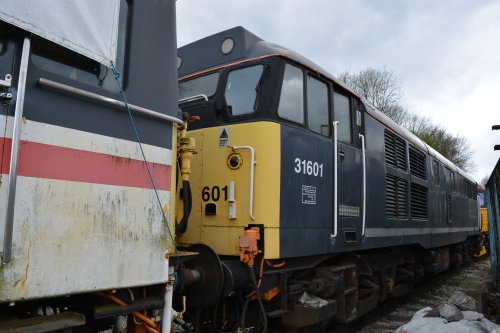 Class 31 diesel locomotive 31206, Wirksworth station yard, Ecclesbourne Valley Railway