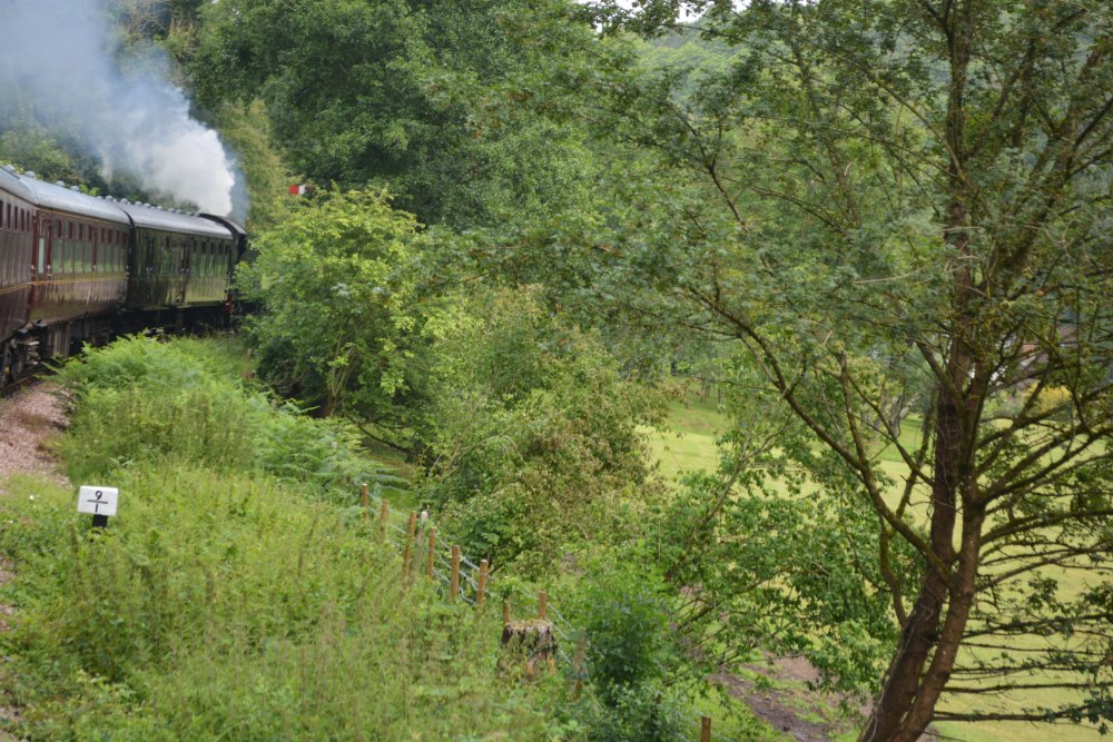 Forest of Dean viewed from steam train of the Dean Forest Railway train between Lydney and Norchard Dean Forest Railway Gloucestershire England