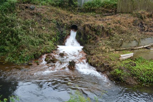 The Orchard Drain by Norchard station on the Dean Forest Railway Gloucestershire England