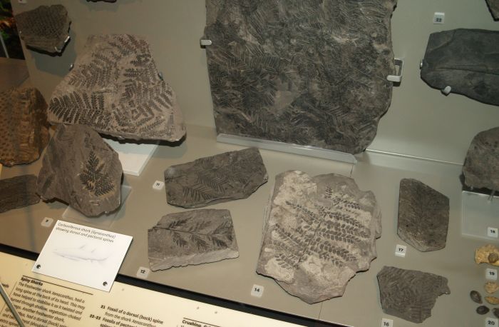 Hancock Museum