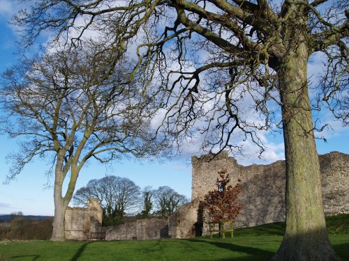 Pickeing Castle