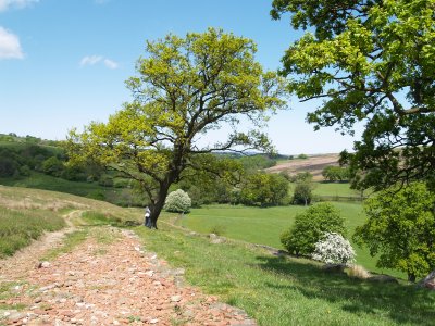 But, before reaching the footbridge and ford, the Roman way seems to continue as a discarded traditional North Yorkshire red roofing tiles road!