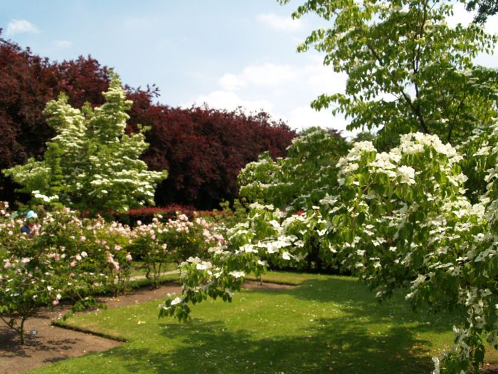 Newby Hall Gardens