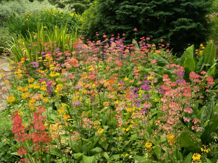 Newby Hall Gardens