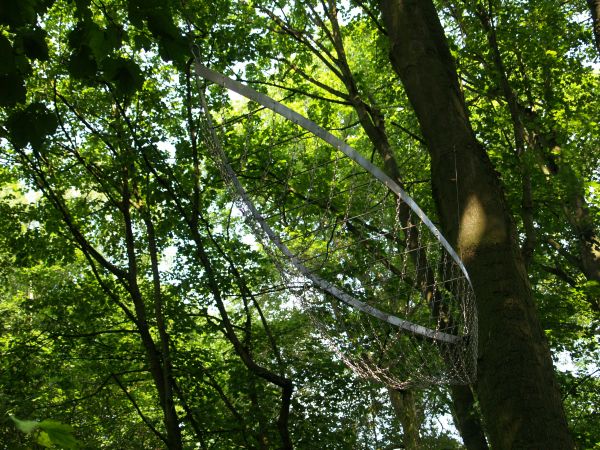 Newby Hall Sculpture Walk Art exhibitions