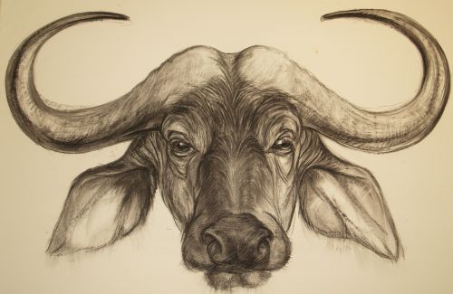 Newby Hall Sculpture Walk Art exhibitions