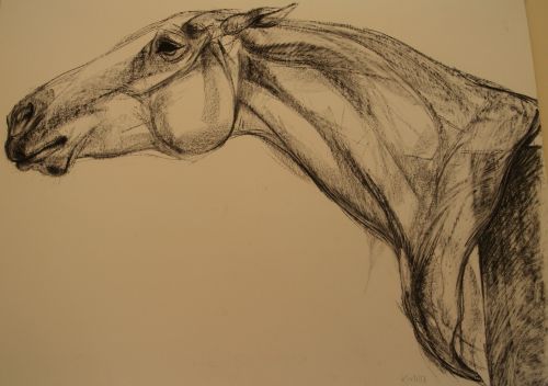 Newby Hall Sculpture Walk Art exhibitions