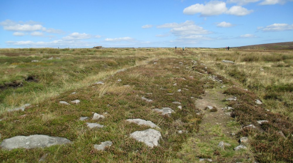 Roman Road walk Wheeldale Moor