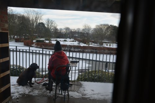 Rowntree Park, York