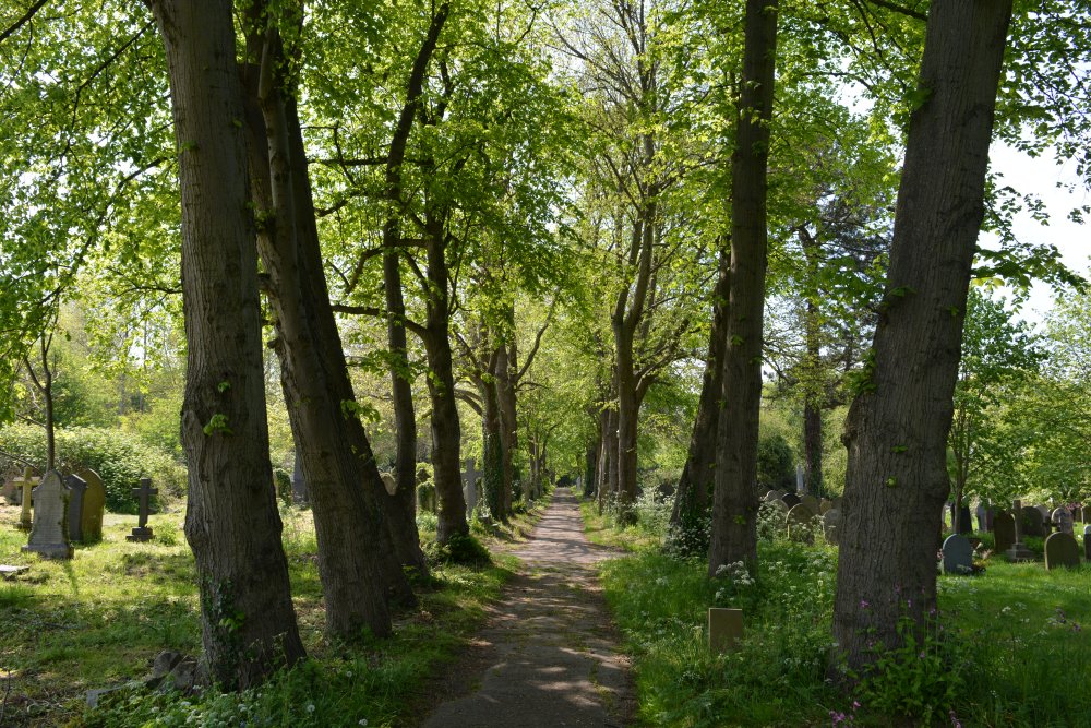 York Cemetery