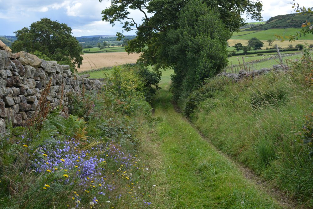 path down from Ainthorpe across the fields to Danby Moors Centre Ainthorpe village hamlet, North Yorkshire, England