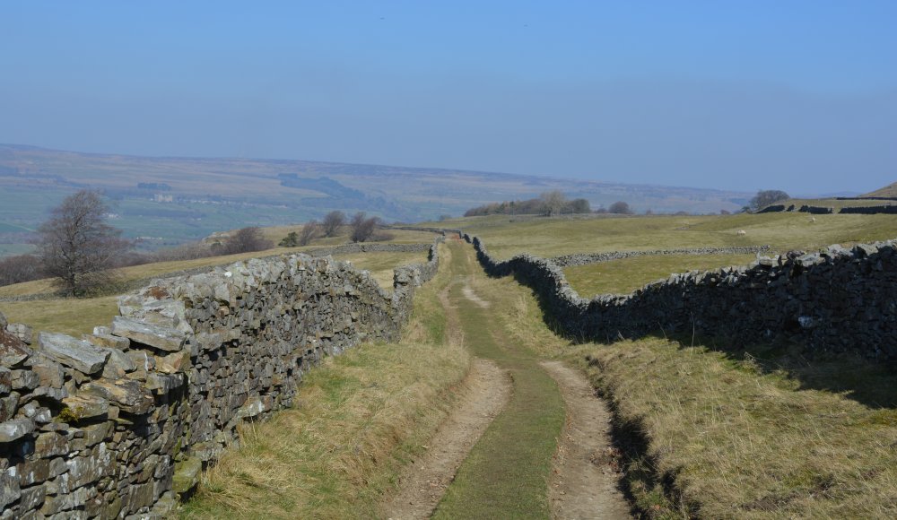 The enclosed walled green road heading north to Morpeth Scar with Bolton Castle in the hazy distance on the left, West Burton, Wensleydale, North Yorkshire