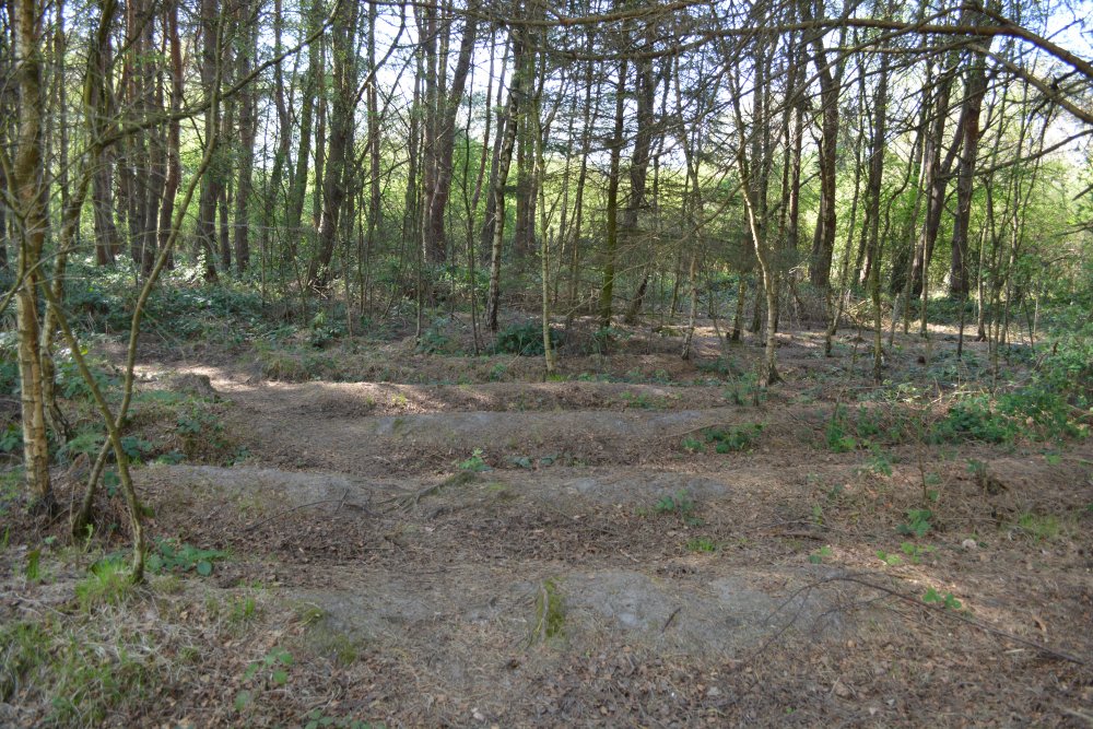 ridge and furrow of old plough marks of the original farmland, now part of Strensall Common heathland