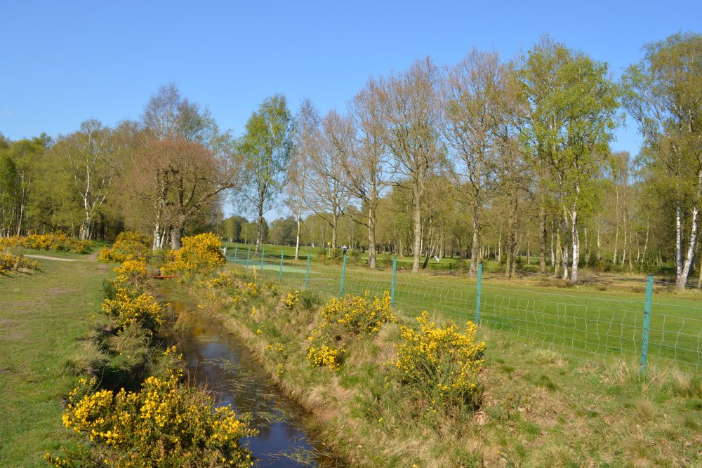 Part of the golf course and grassland of Strensall Common