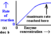 biogas generator graph of rate versus enzyme concentration gcse biology igcse exam revision