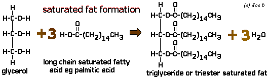 equation diagram of saturated fat formation