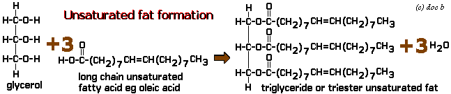 equation diagram of unsaturated fat formation